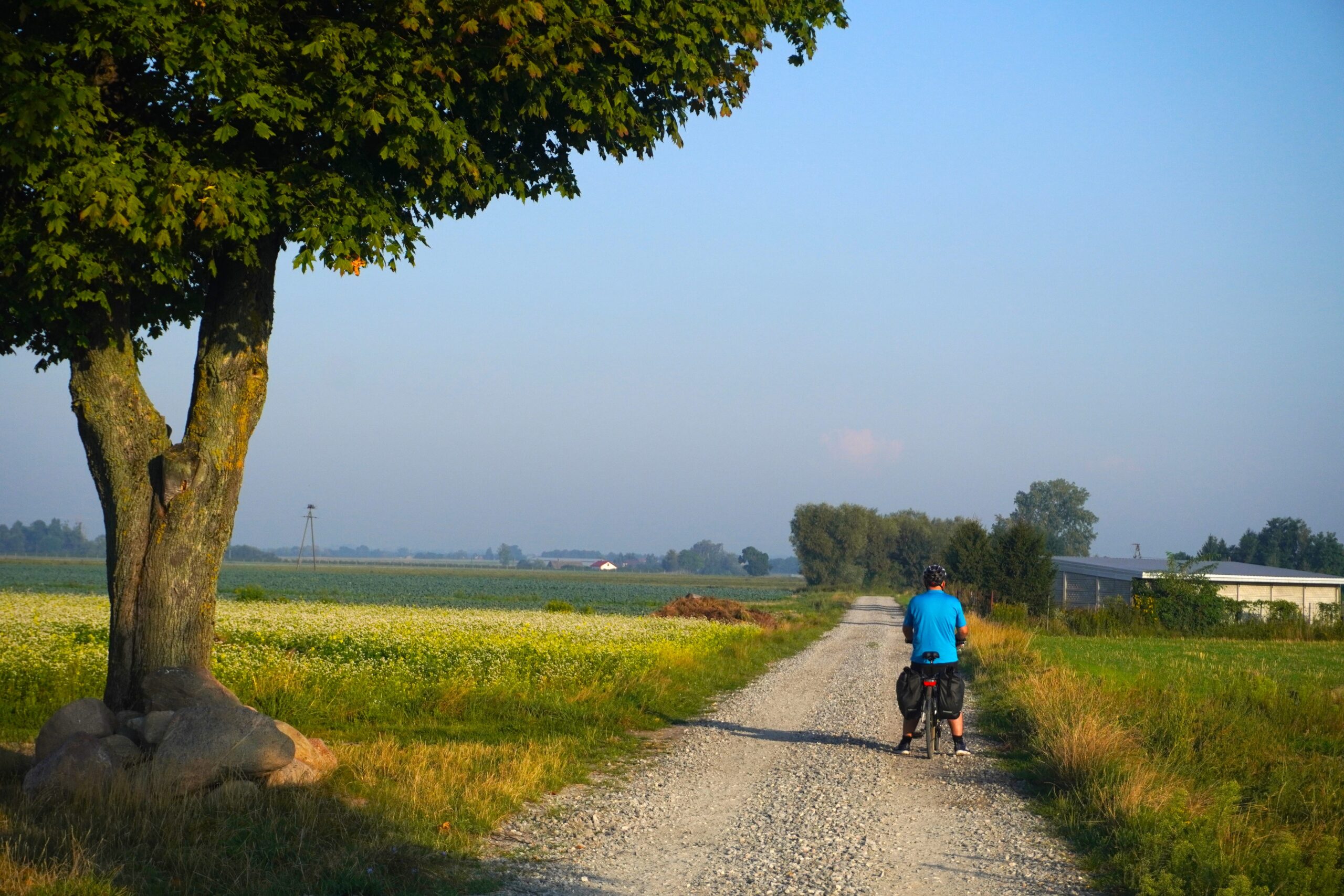 Camino Mazowiecka Droga św. Jakuba