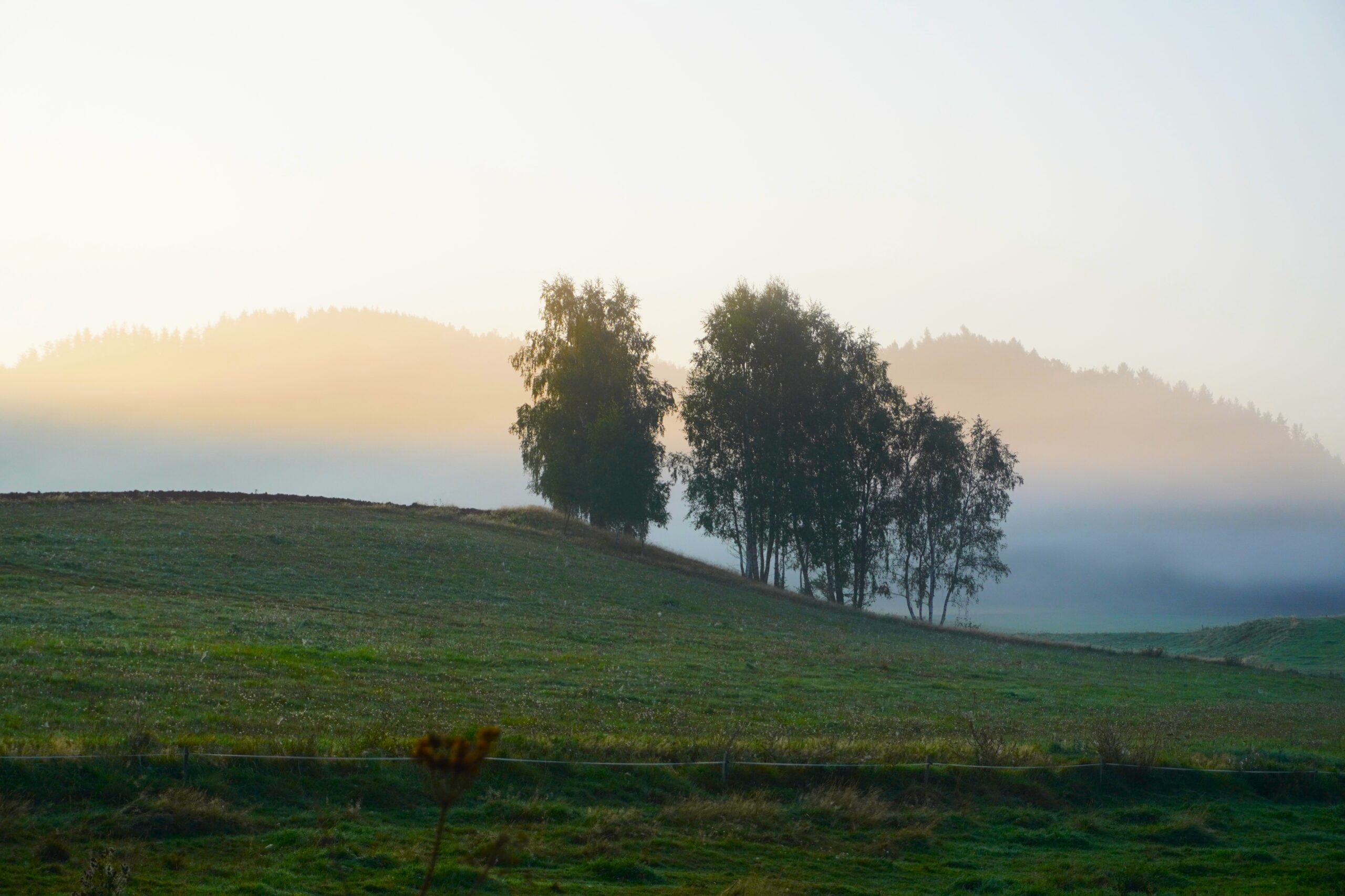 Sudecka Droga św. Jakuba - krajobraz