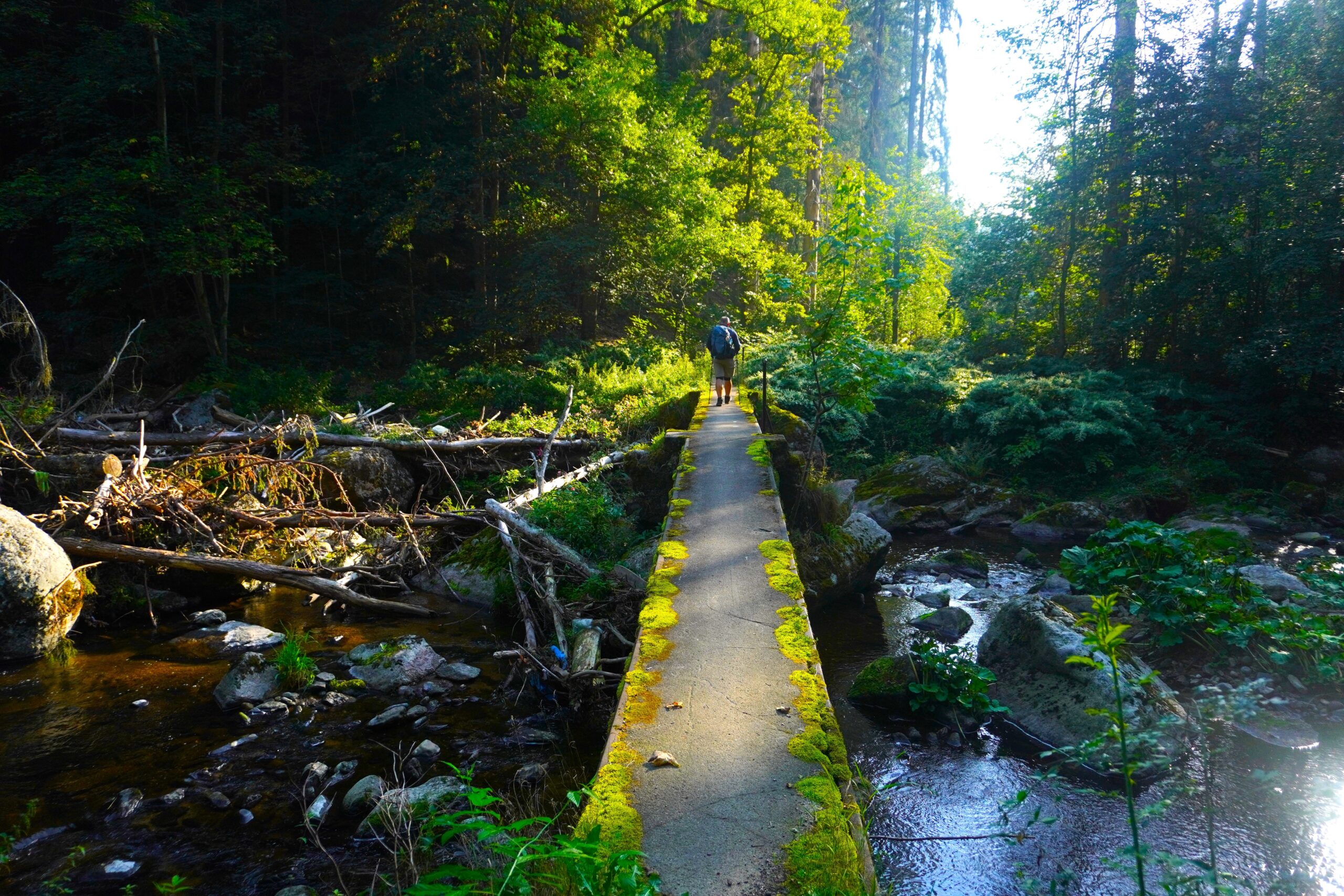 Sudecka Droga św. Jakuba - szlak